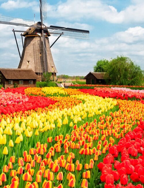 Holland