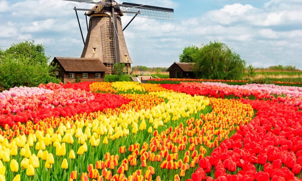 Holland