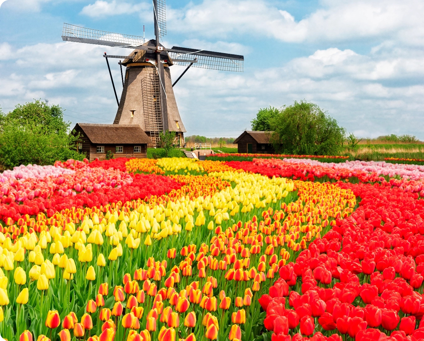 Holland